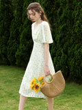 Llyge Chiffon Dress French Floral Butterfly Sleeve V Neck 2024 Summer Dress A Line High Waist Female Vestidos