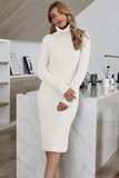 LLYGE 2023 Autumn New Fall Outfit Ribbed Turtle Neck Long Sleeve Sweater Dress