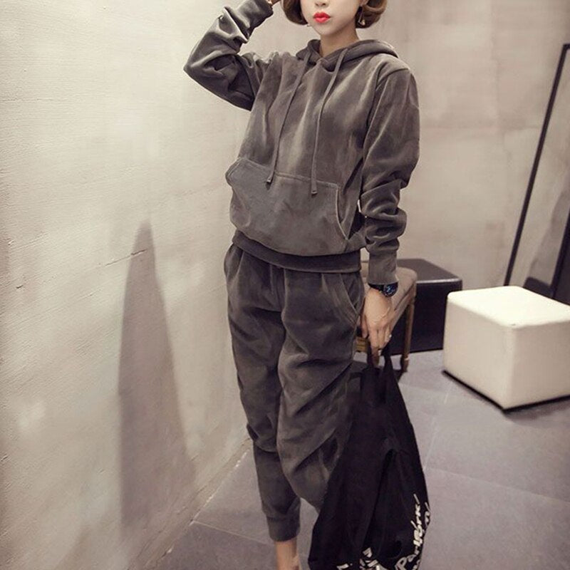 Female Velvet Tracksuit Warm Soft Home Two Piece Set Women Thicken Hooded Long Sleeve Top & Pants Suit Fashion