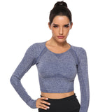 Seamless Yoga Top Long Sleeve Workout Tops for Women Fitness Crop Tops Short Active Sportswear  Women's Shirt Gym Clothing