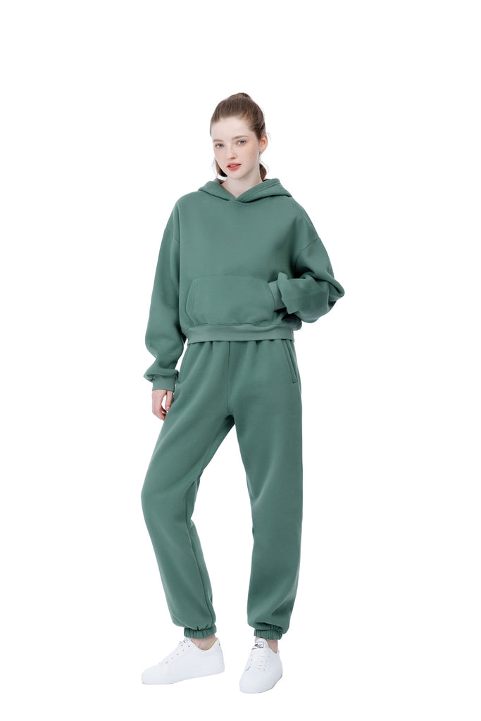 Llyge 2023 Spring Women Hoodies Sweatshirt Tracksuit Fleece Cotton 2 Pieces Sets Female Pants Suits
