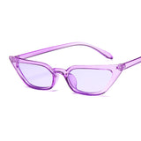 LLYGE 2023 Small Cat Eye Fashion Sunglasses Women Vintage Plastic Mirror Vintage Sun Glasses Female Oculos De Sol Feminino UV400