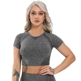 Llyge Seamless Yoga Tops Fitness Women Workout Sportswear Solid Short Sleeve Crop Top Yoga Shirt Gym Running Sports Cycling T-shirts